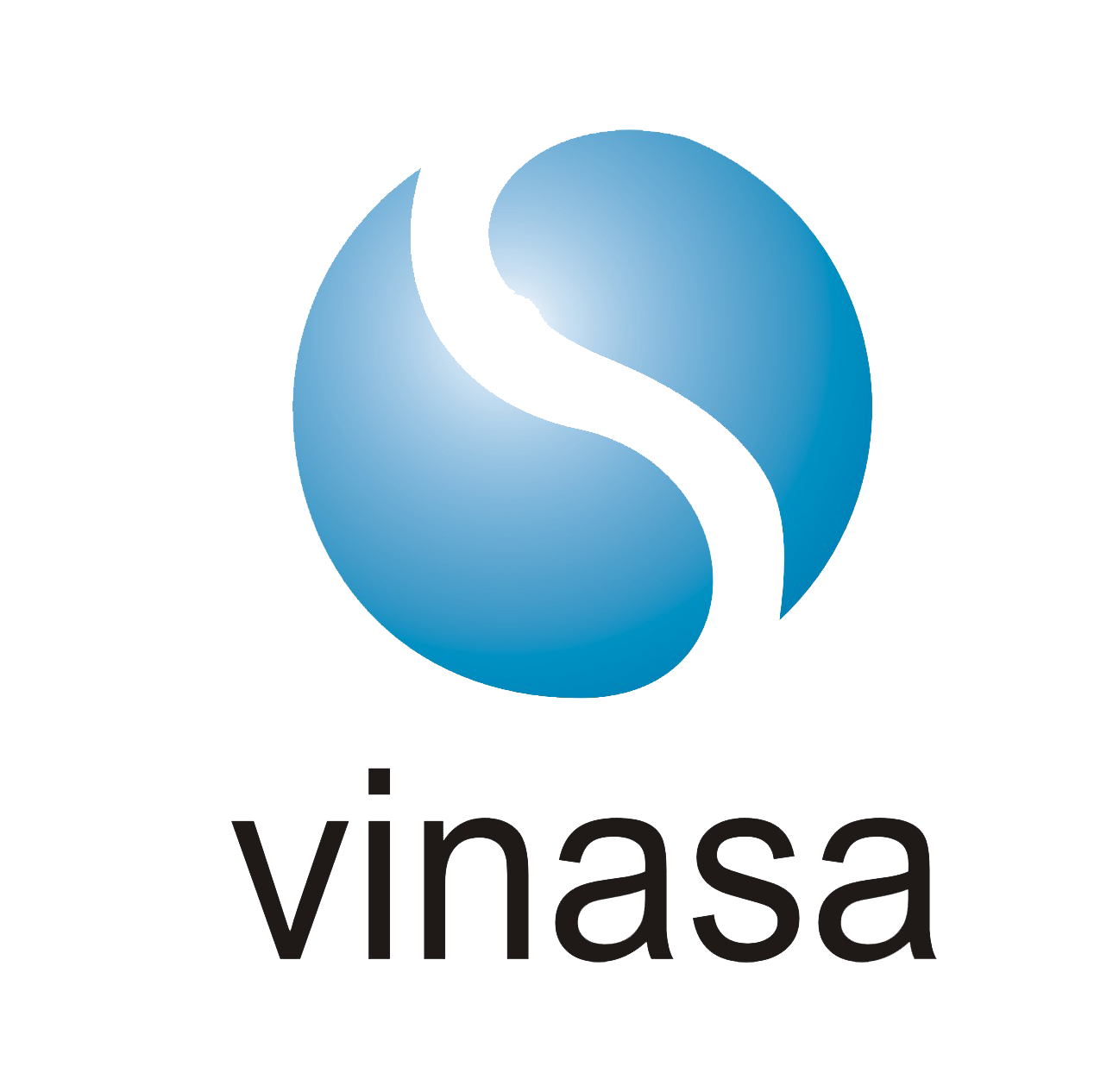 logo-VINASA