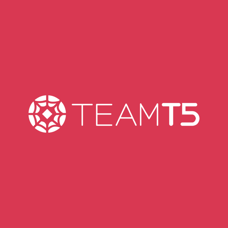 TEAM T5 INC